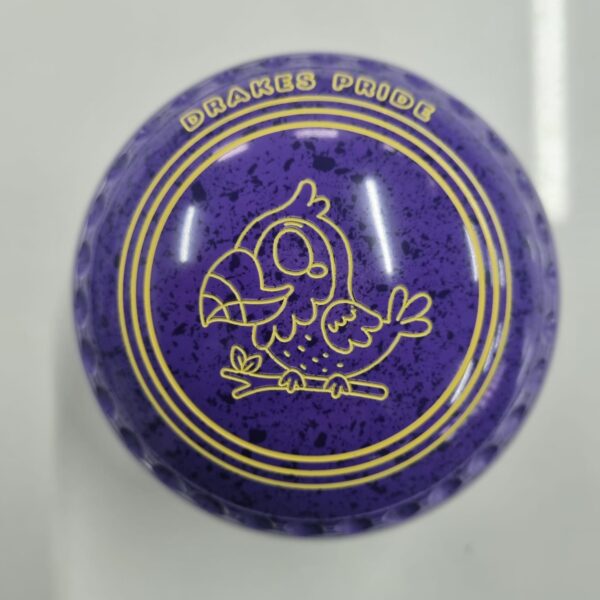 DP Professional | 00H | LT Purple/Purple 7504 41725